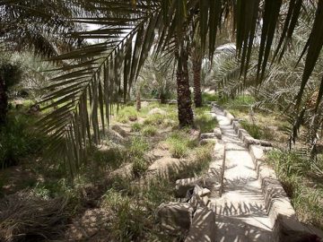 The Garden City Al Ain