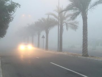 Fog in UAE