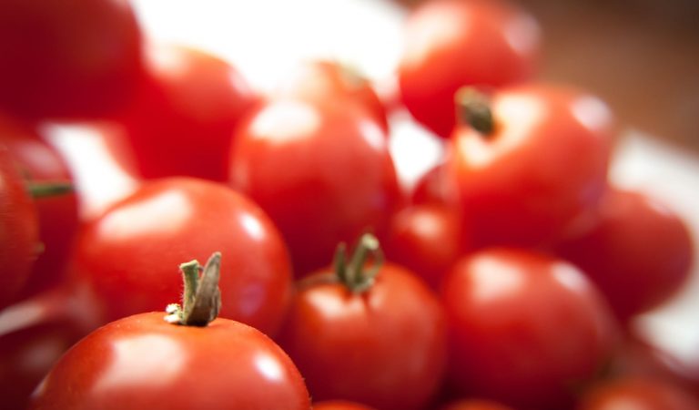 Fresh Tomatoes To Be Grown Using LED Lights In Abu Dhabi
