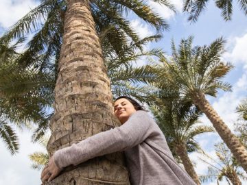 Hug a tree at Louvre Abu Dhabi