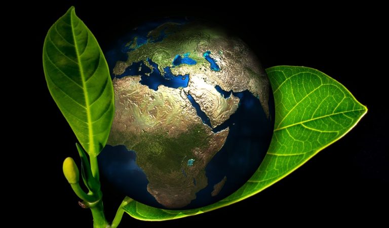 Earth Day 2020 And The Fight Against Climate Change Are The Perfect Partners