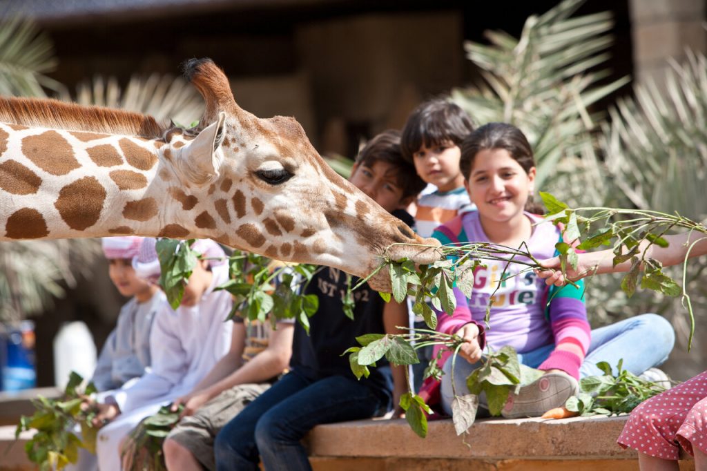 Weekend Staycation at Emirates Park zoo