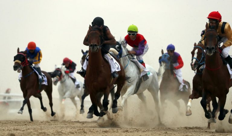 Al Dhafra Festival: The Greatest Showcase Of Bedouin Lifestyle