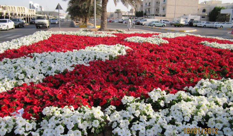 Abu Dhabi City To Abloom With 2.4 Million Flowers