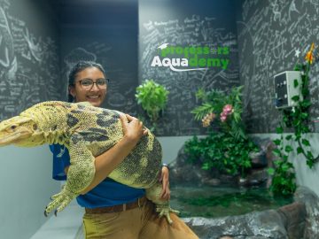 The National Aquarium