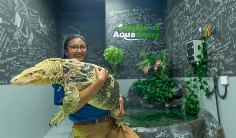 Teachers Can Host Remote Classes From The National Aquarium