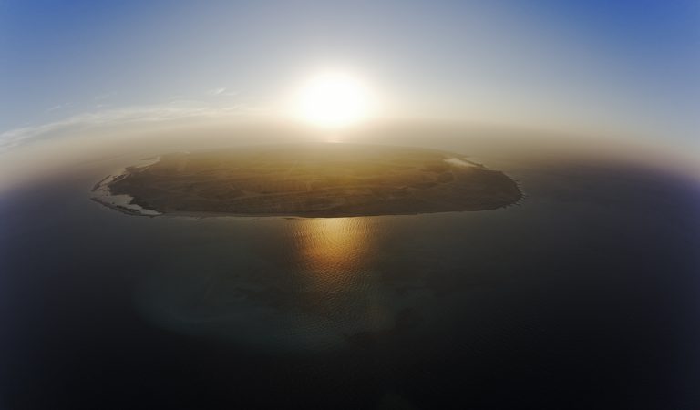 Stunning Facts About Sir Baniyas Island You Never Knew Before!