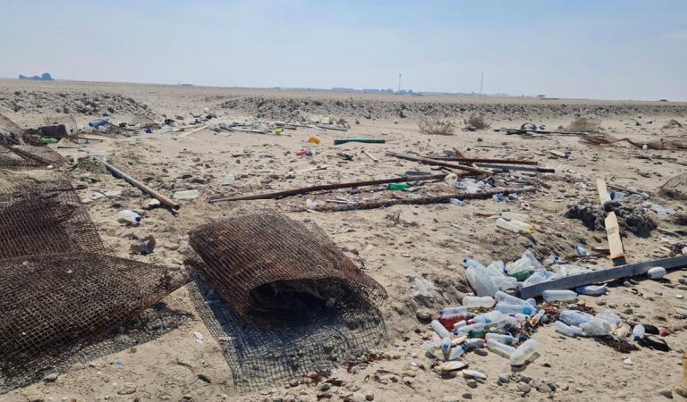 Environment Agency Abu Dhabi Collects 200Kg Of Plastic And Fishing Gear