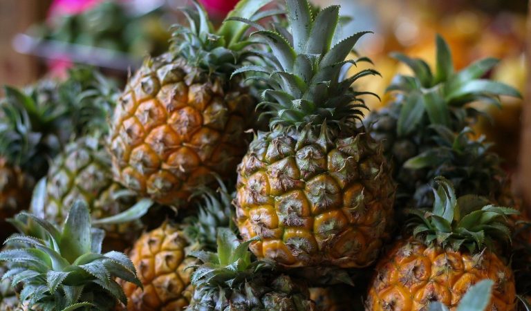 The best 2021 tips to grow and enjoy pineapples at home