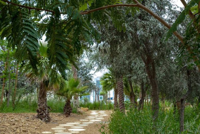 Green Abu Dhabi