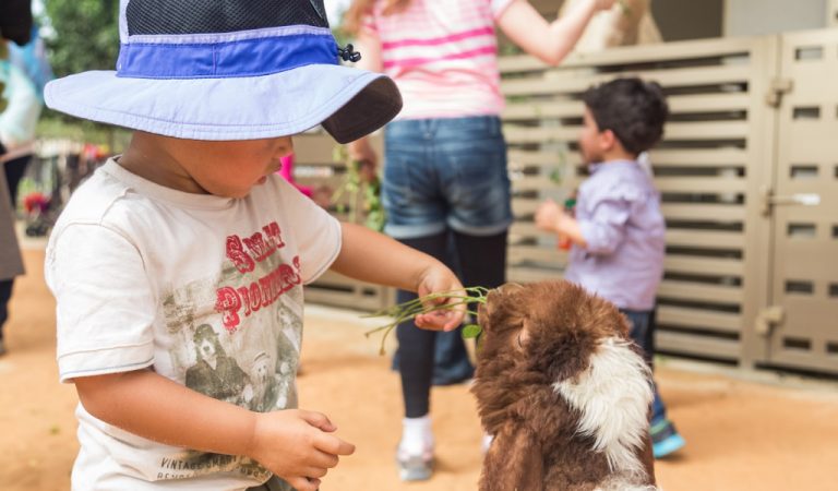 Animal Barn Pop-up Returns To Umm Al Emarat Park