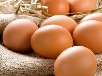 Basket of Eggs