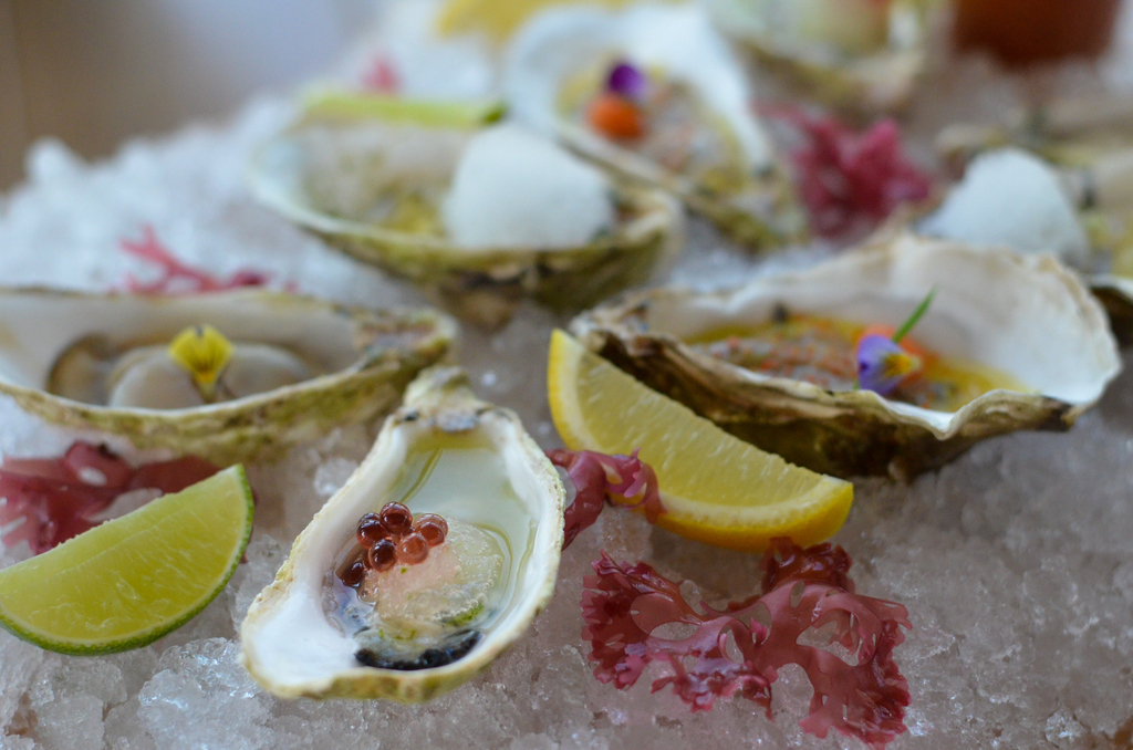 Love oysters? Experience the oyster tasting with Catch at St. Regis
