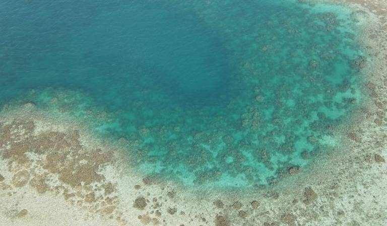 Have you heard of the rare ‘blue hole’ discovered in the waters of Al Dhafra