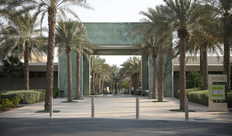 Free landscape photography session for beginners at Umm Al Emarat Park