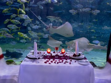 The National Aquarium