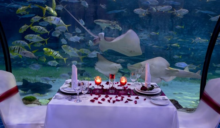 Celebrate Valentines Day with an underwater dining experience