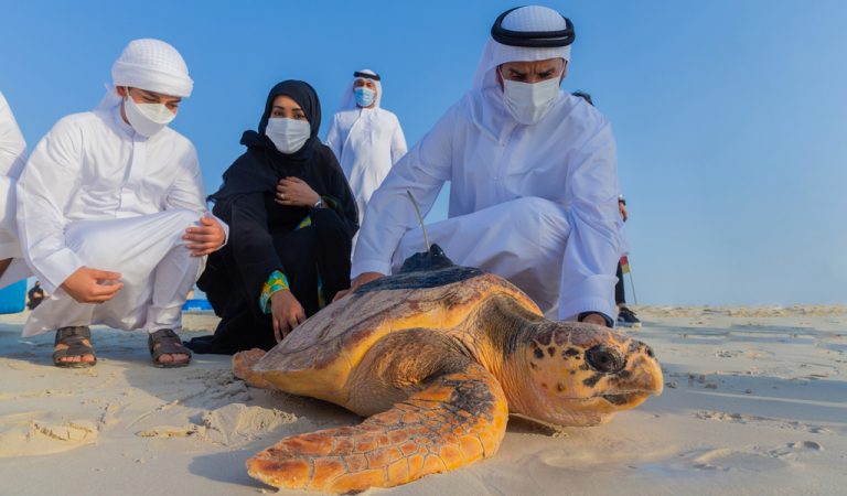 What you need to know about the World Wildlife Day