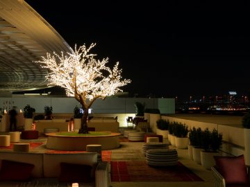 Saturday Ladies Night