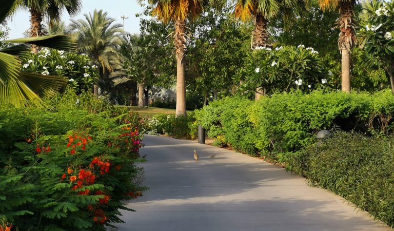 Umm Al Emarat Park in Abu Dhabi launches #GreenWall Initiative