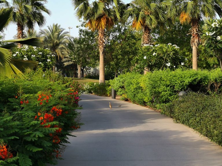 Umm Al Emarat Park