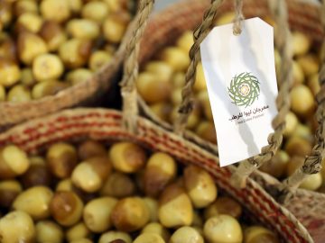 Liwa Date Festival