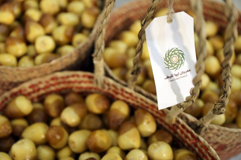 Liwa Date Festival