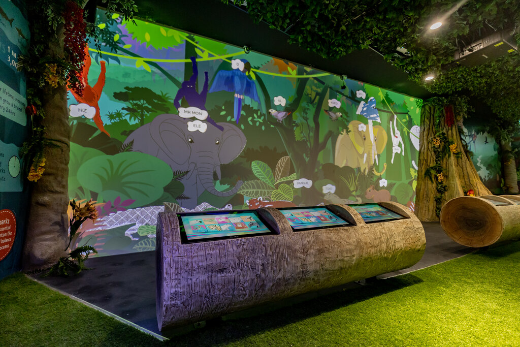 Interactive Play Zone