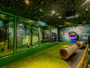 The National Aquarium