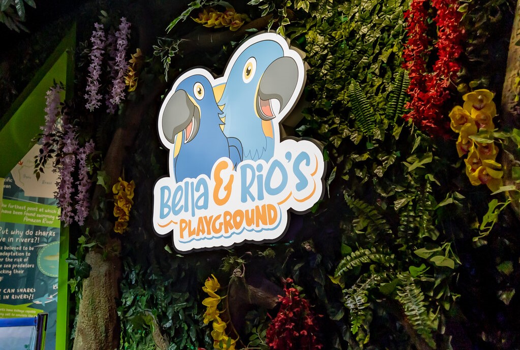 Bella and Rio at The National Aquarium