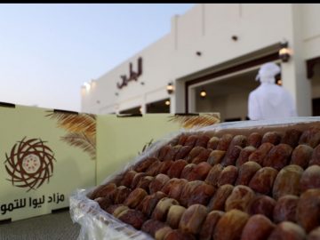 Liwa Dates Festival