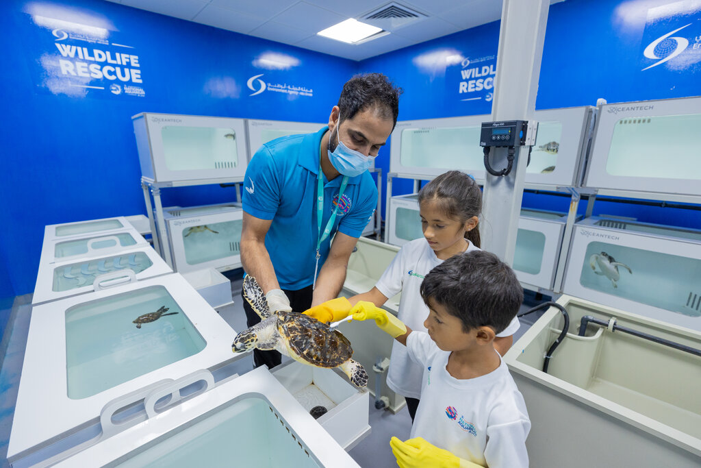 The National Aquarium