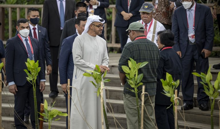 UAE President plants mangrove tree at Ngurah Rai Forest Park