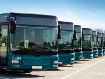 Free bus rides in Abu Dhabi
