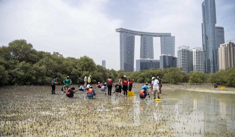 Sorbonne University Abu Dhabi Plants 65 Mangrove Seedlings in Go Green 2023 Initiative