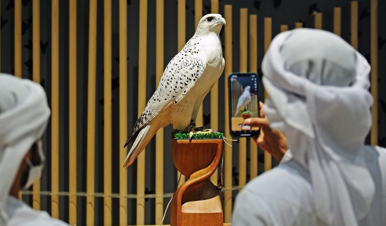 ADIHEX Launches Competition for Best Traditional Falcon Stand
