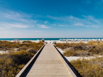 Saadiyat Island Abu Dhabi