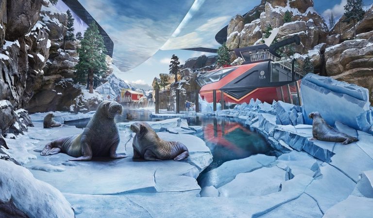 Discover the Enchanting Walrus Realm: SeaWorld® Yas Island’s Arctic Marvel