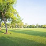 Wellness Retreat at Umm Al Emarat Park