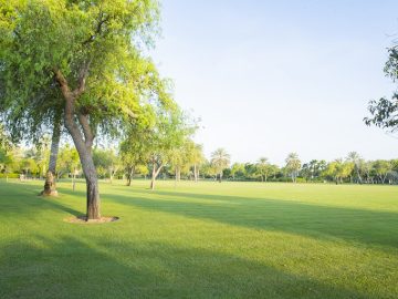 Wellness Retreat at Umm Al Emarat Park