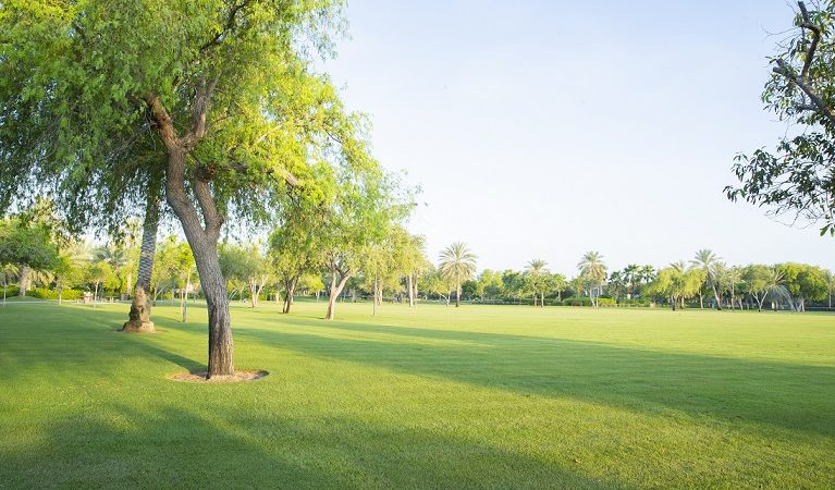 A Wellness Retreat Is Taking Place In The Heart Of Abu Dhabi