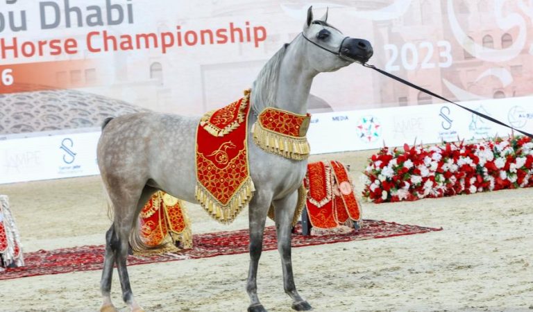 Abu Dhabi International Arabian Horse Championship