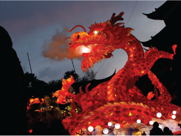 Festival In The Park