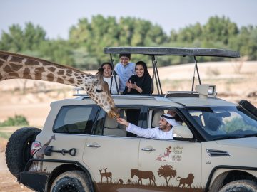 Al Ain Zoo Daz Festival