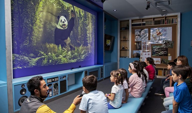 Indulge in Fun-Filled Activities and Experiences at The Galleria