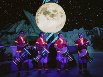 SeaWorld® Yas Island