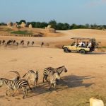 Al Ain Zoo Eid Al Etihad celebrations