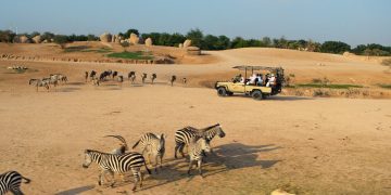 Al Ain Zoo Eid Al Etihad celebrations