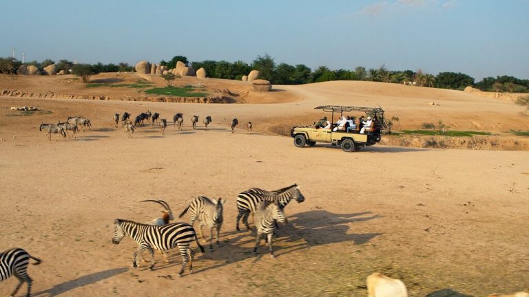 Al Ain Zoo Eid Al Etihad celebrations