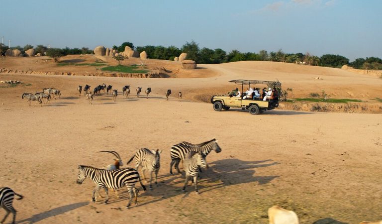 Eid Al Etihad 2025: Family Activities & Cultural Shows At Al Ain Zoo